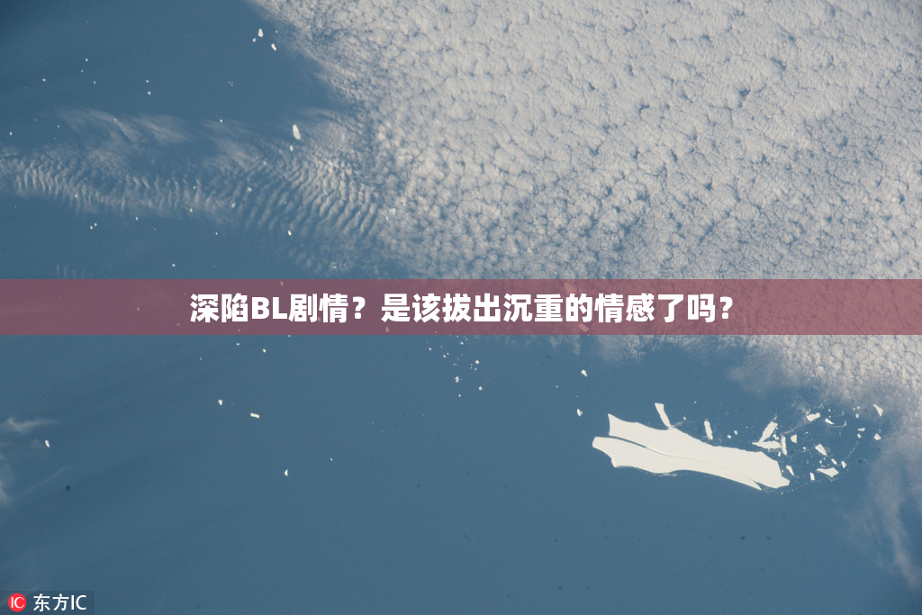 深陷BL剧情？是该拔出沉重的情感了吗？