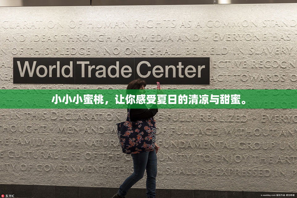 小小小蜜桃，让你感受夏日的清凉与甜蜜。