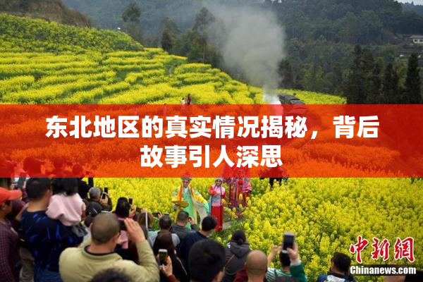 东北地区的真实情况揭秘，背后故事引人深思