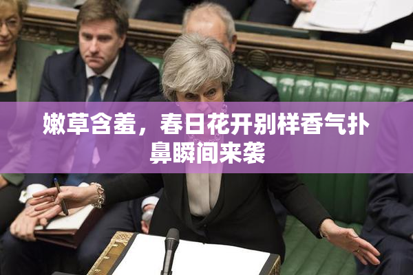嫩草含羞，春日花开别样香气扑鼻瞬间来袭