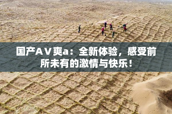 国产AⅤ爽a：全新体验，感受前所未有的激情与快乐！