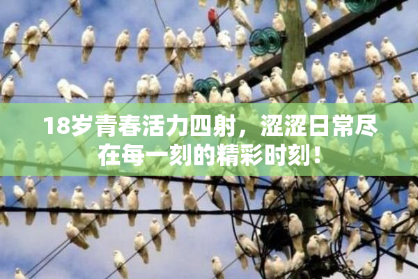 18岁青春活力四射，涩涩日常尽在每一刻的精彩时刻！