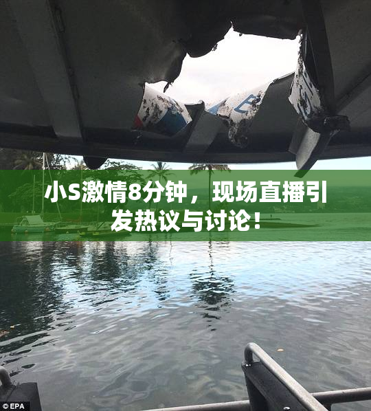 小S激情8分钟，现场直播引发热议与讨论！