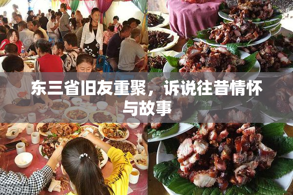 东三省旧友重聚，诉说往昔情怀与故事