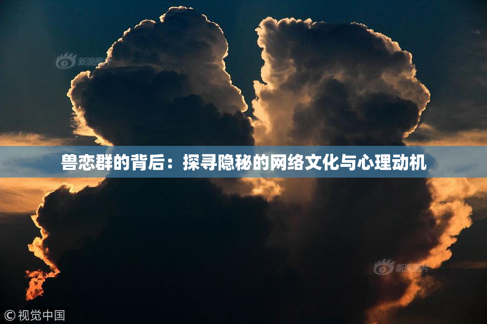 兽恋群的背后：探寻隐秘的网络文化与心理动机