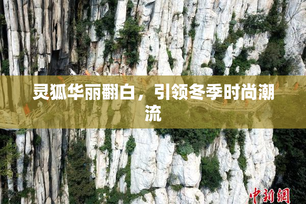灵狐华丽翻白，引领冬季时尚潮流