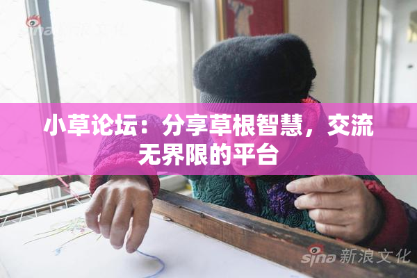 小草论坛：分享草根智慧，交流无界限的平台