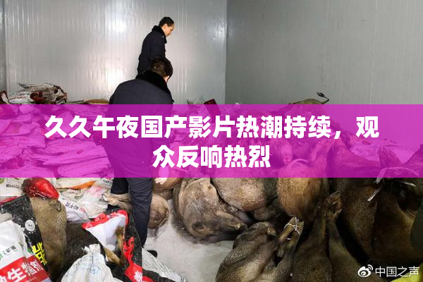 久久午夜国产影片热潮持续，观众反响热烈