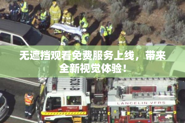 无遮挡观看免费服务上线，带来全新视觉体验！