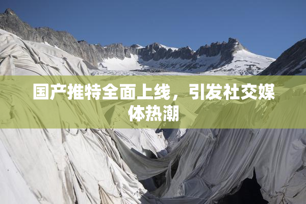 国产推特全面上线，引发社交媒体热潮