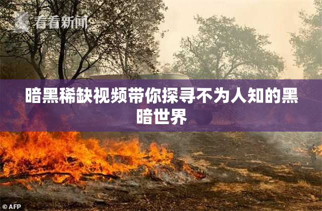 暗黑稀缺视频带你探寻不为人知的黑暗世界