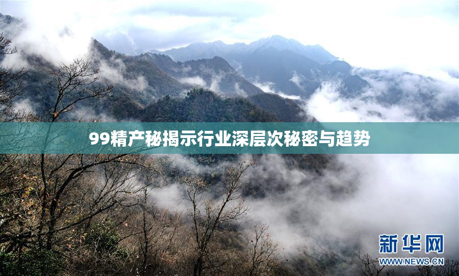 99精产秘揭示行业深层次秘密与趋势