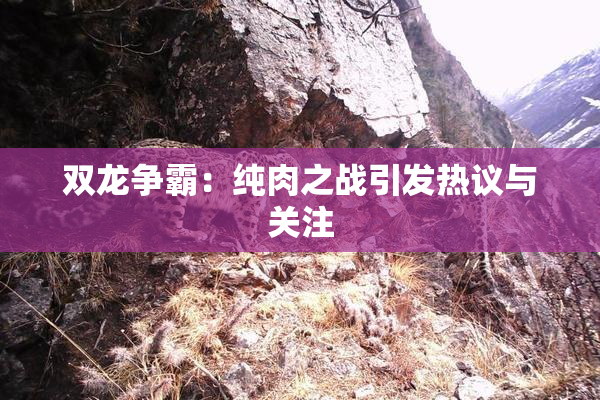 双龙争霸：纯肉之战引发热议与关注