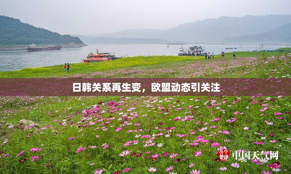日韩关系再生变，欧盟动态引关注