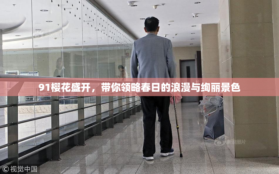 91樱花盛开，带你领略春日的浪漫与绚丽景色