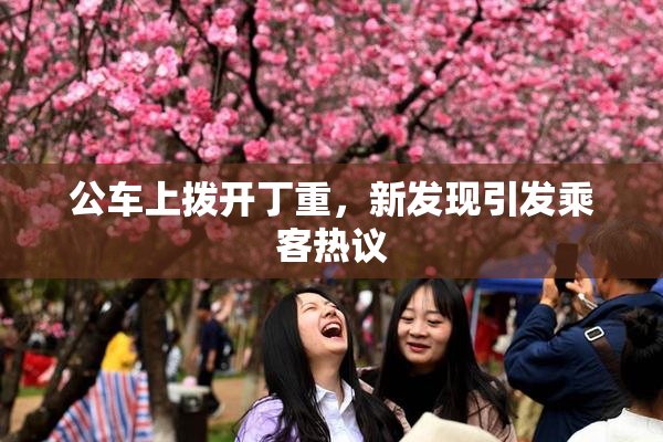 公车上拨开丁重，新发现引发乘客热议