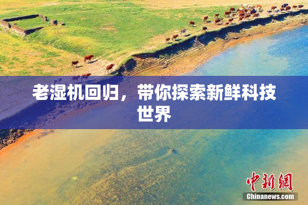 老湿机回归，带你探索新鲜科技世界