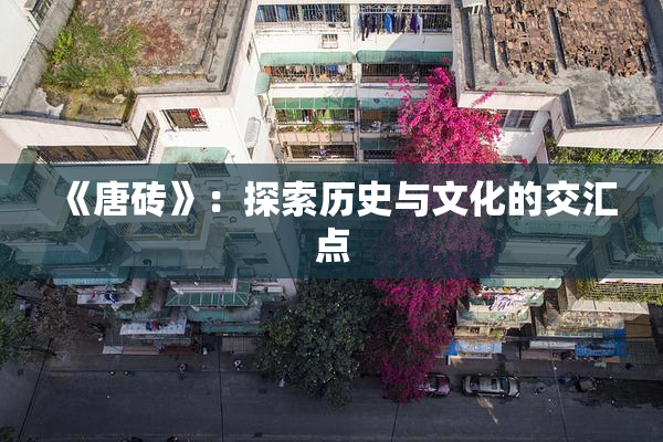 《唐砖》：探索历史与文化的交汇点