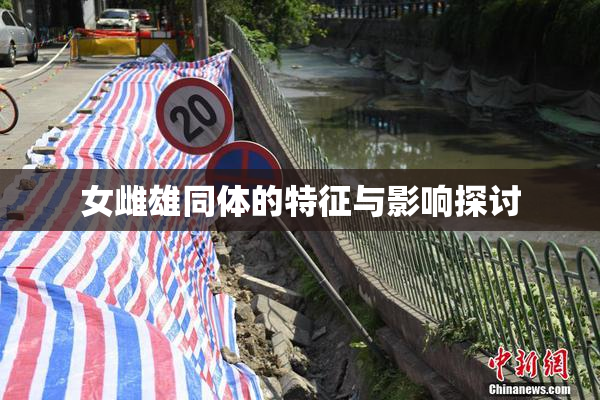 女雌雄同体的特征与影响探讨