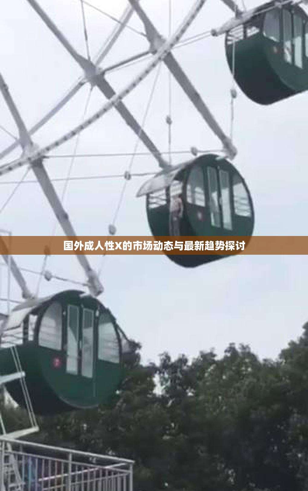 国外成人性X的市场动态与最新趋势探讨