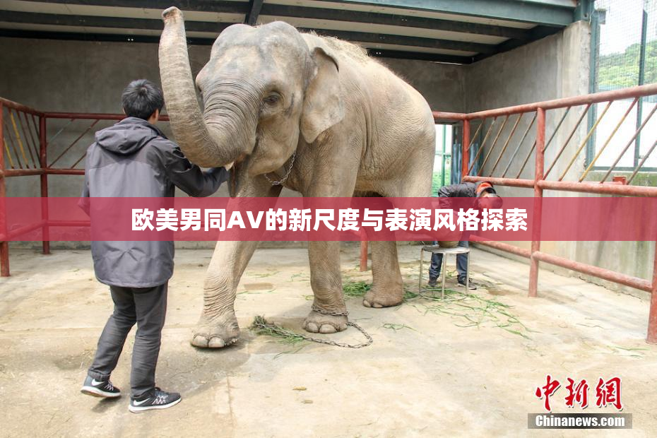 欧美男同AV的新尺度与表演风格探索