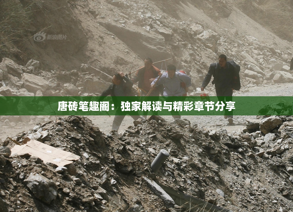唐砖笔趣阁：独家解读与精彩章节分享