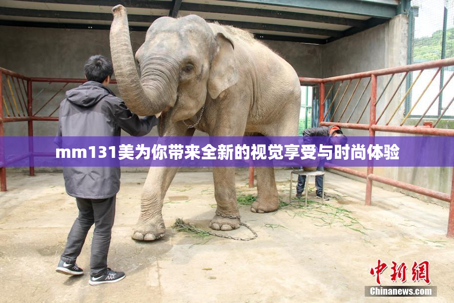 mm131美为你带来全新的视觉享受与时尚体验