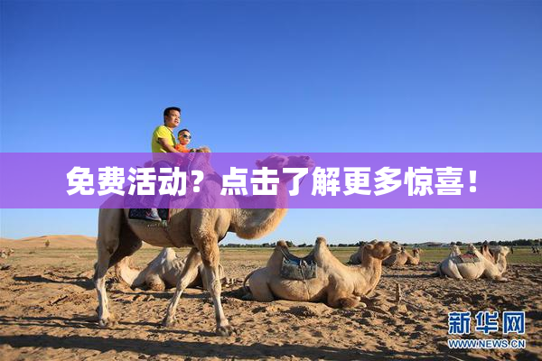 免费活动？点击了解更多惊喜！