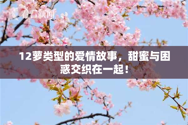 12萝类型的爱情故事，甜蜜与困惑交织在一起！