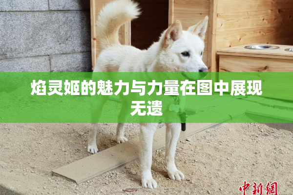 焰灵姬的魅力与力量在图中展现无遗
