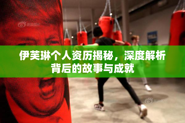 伊芙琳个人资历揭秘，深度解析背后的故事与成就