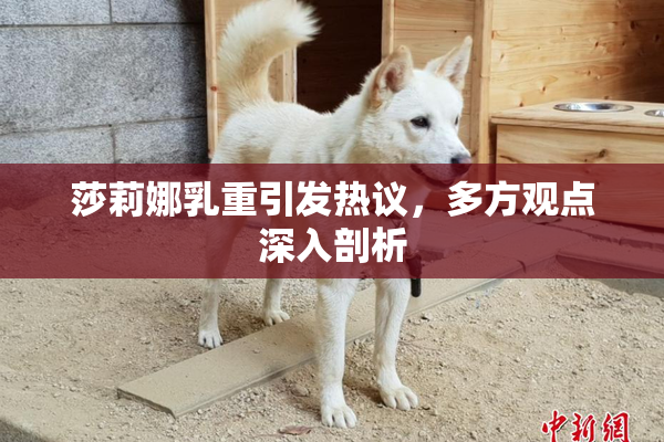 莎莉娜乳重引发热议，多方观点深入剖析