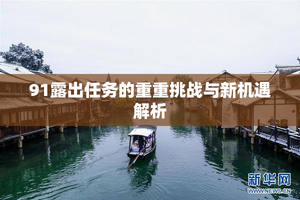 91露出任务的重重挑战与新机遇解析