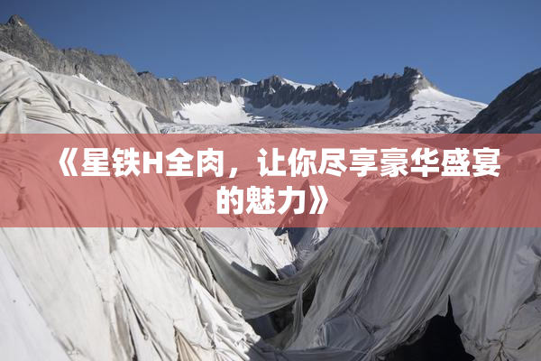 《星铁H全肉，让你尽享豪华盛宴的魅力》