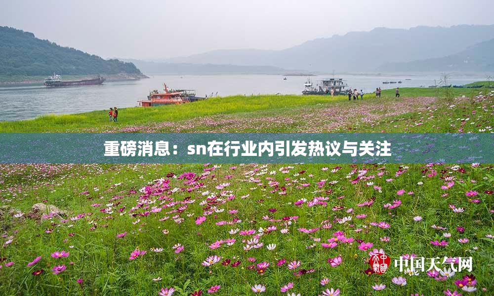 重磅消息：sn在行业内引发热议与关注