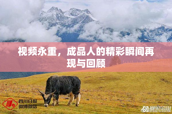 视频永重，成品人的精彩瞬间再现与回顾