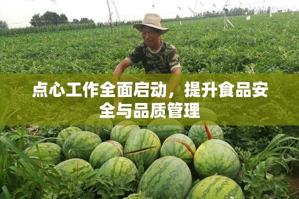 点心工作全面启动，提升食品安全与品质管理