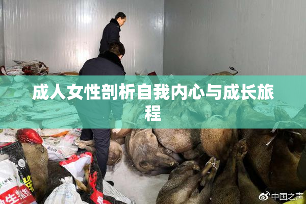 成人女性剖析自我内心与成长旅程