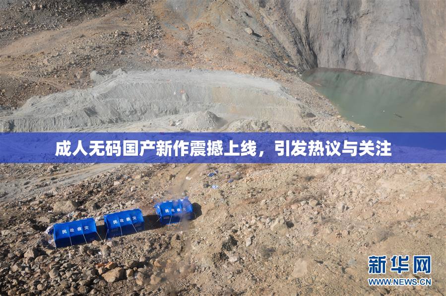 成人无码国产新作震撼上线，引发热议与关注