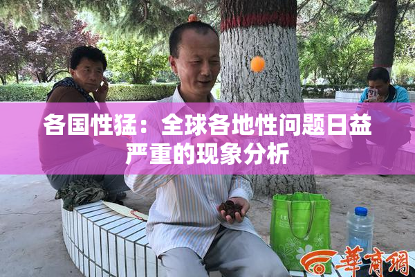 各国性猛：全球各地性问题日益严重的现象分析