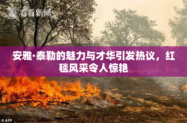 安雅·泰勒的魅力与才华引发热议，红毯风采令人惊艳