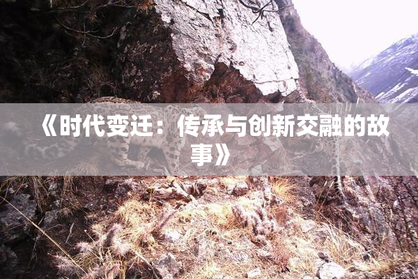 《时代变迁：传承与创新交融的故事》