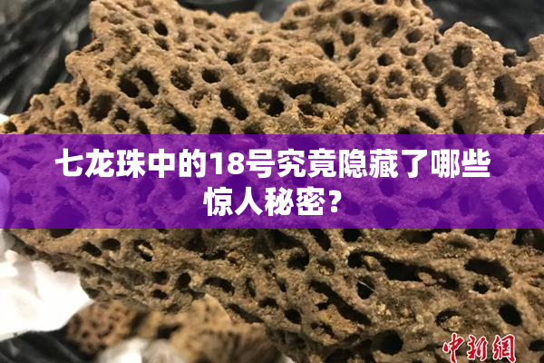 七龙珠中的18号究竟隐藏了哪些惊人秘密？