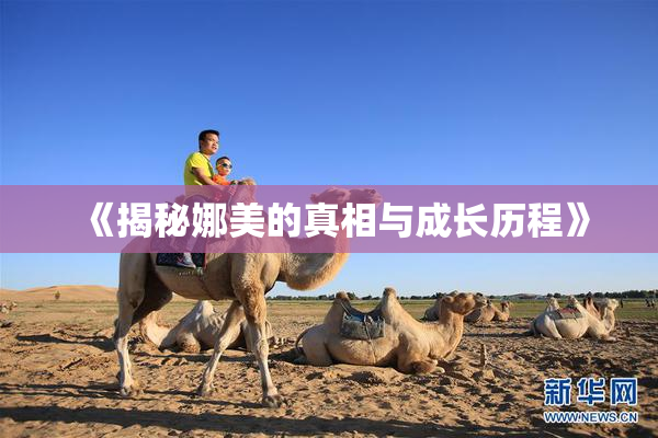 《揭秘娜美的真相与成长历程》