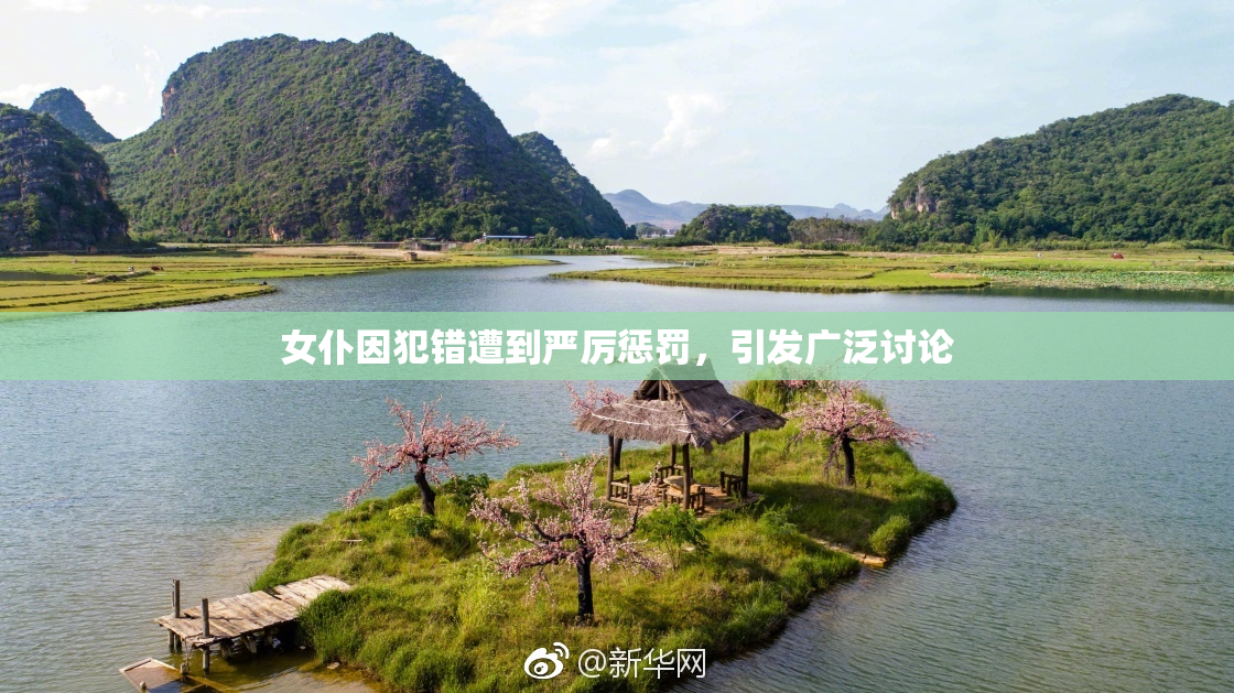 女仆因犯错遭到严厉惩罚，引发广泛讨论