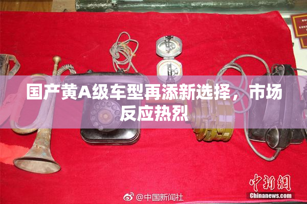 国产黄A级车型再添新选择，市场反应热烈