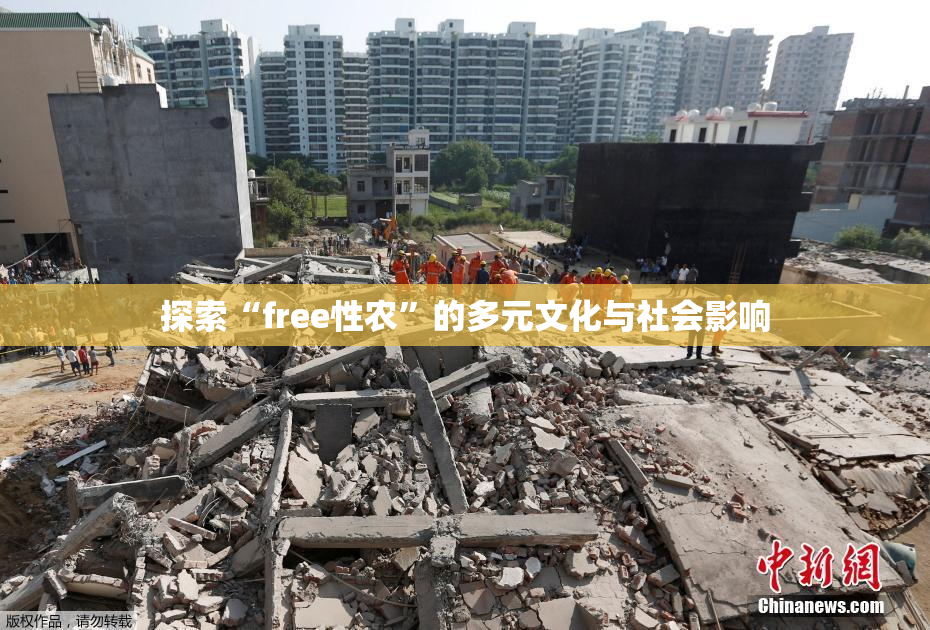 探索“free性农”的多元文化与社会影响