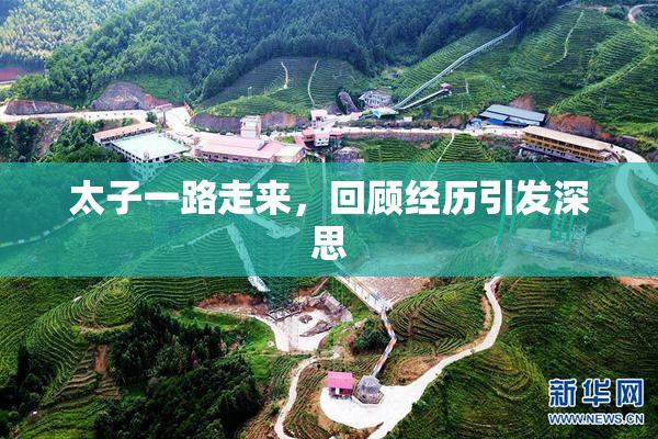 太子一路走来，回顾经历引发深思