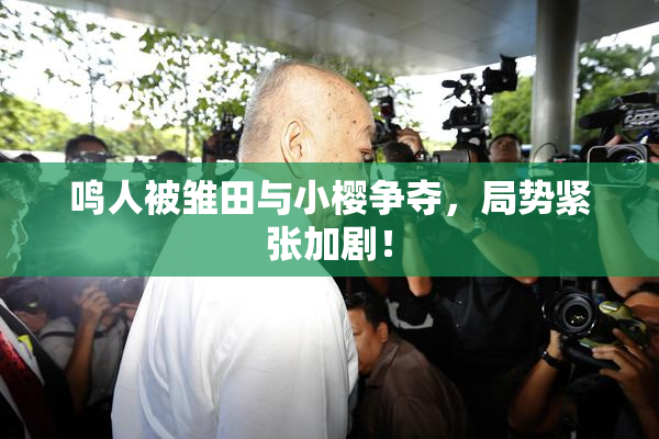 鸣人被雏田与小樱争夺，局势紧张加剧！