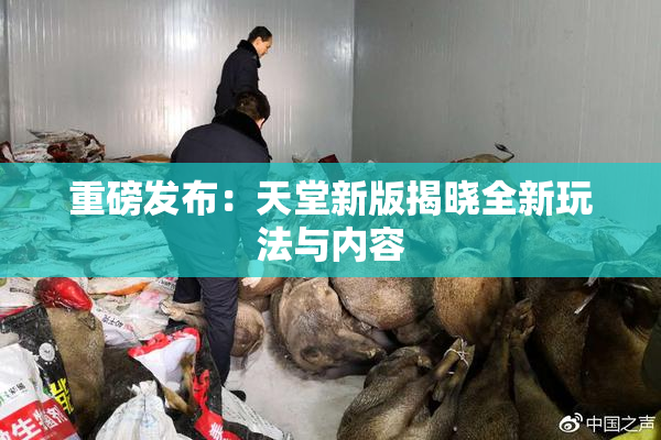 重磅发布：天堂新版揭晓全新玩法与内容